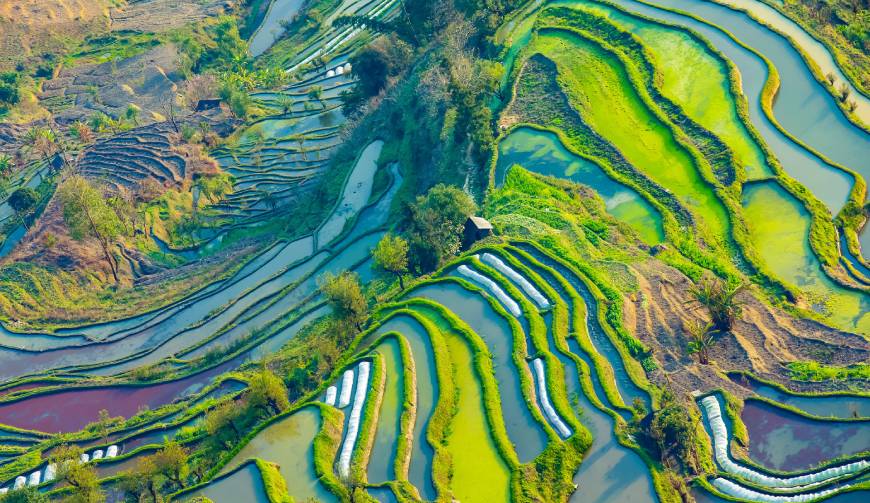 走进团风县TVC拍摄：解锁本地化场景与创意镜头的完美融合
